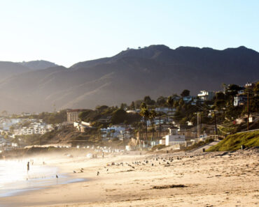 ‘Horrifyingly goofy’ creature washes onto Southern California beach